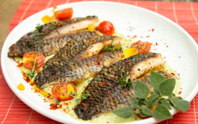 Pan Fried Tilapia with an Avocado Sauce